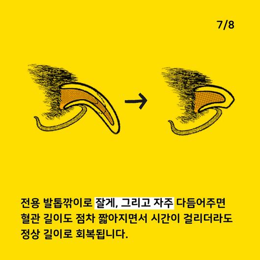 한겨레