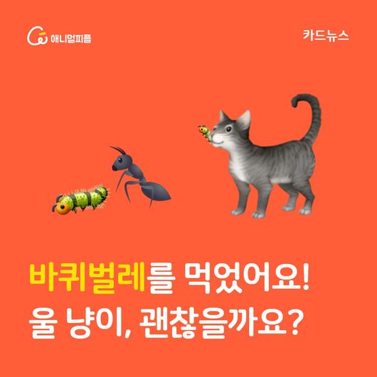 한겨레