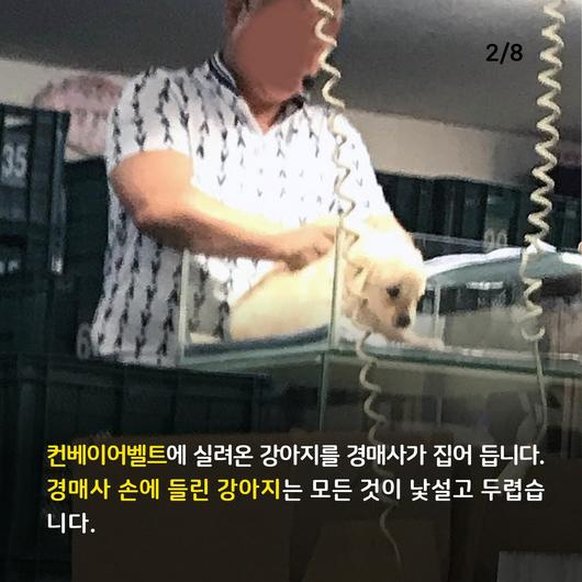 한겨레