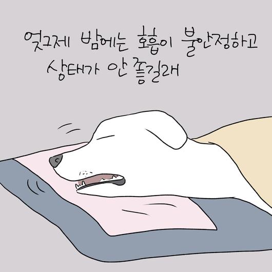 한겨레