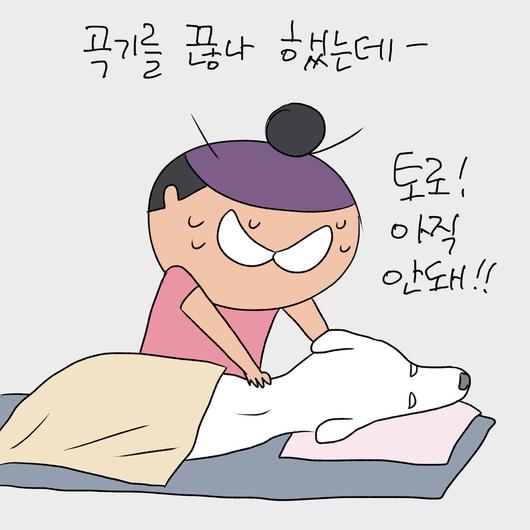 한겨레