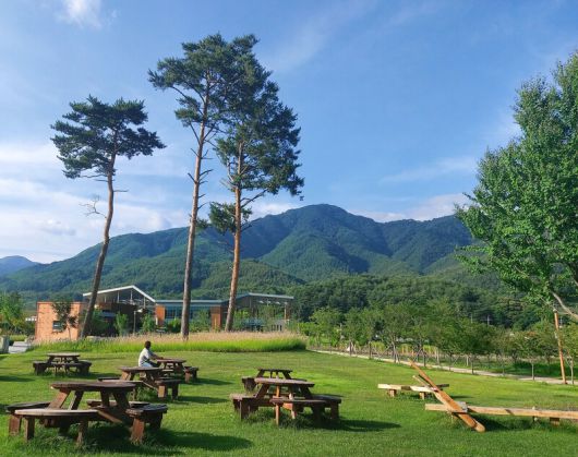 국립 백두대간 수목원 진입광장 주변 풍경. 김선식 기자