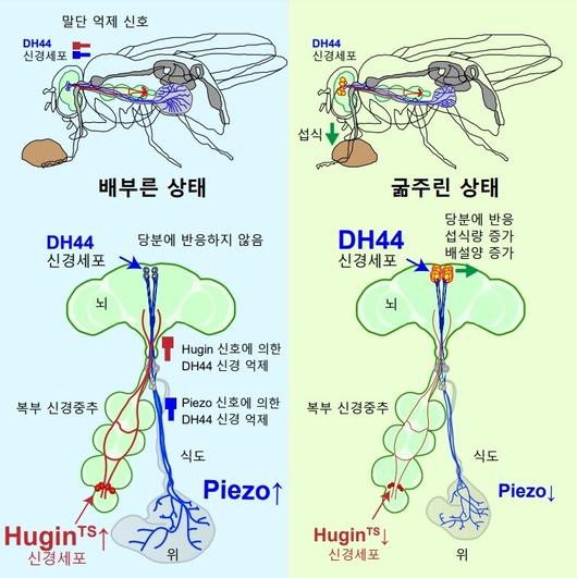 한겨레