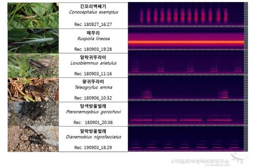 한겨레