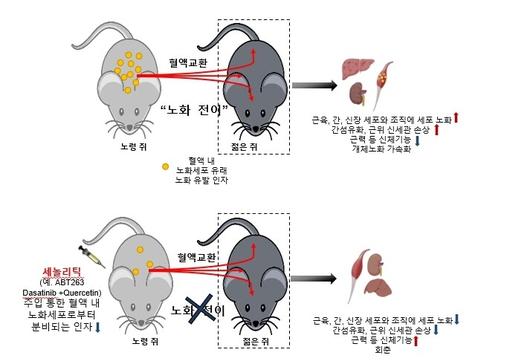 한겨레