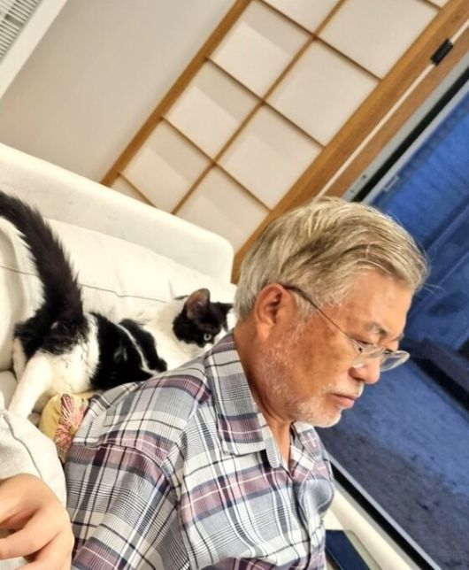 문재인 전 대통령 딸 다혜씨 트위터 갈무리