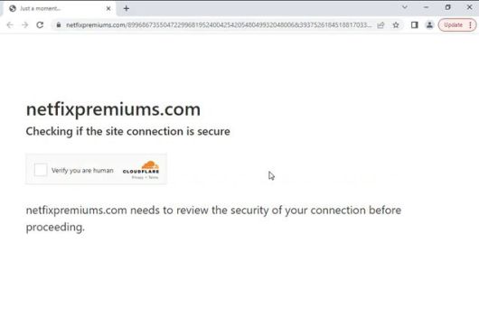 사기꾼들은 사용자의 의심을 피하려 피싱 이메일의 링크를 누르면 바로 정보탈취용 피싱 사이트로 연결하지 않고, ‘당신이 사람인지 확인하시오(Verify you are human)’라는 메시지가 뜨는 가짜 보안접속 확인 페이지로 연결했다. 안랩 제공