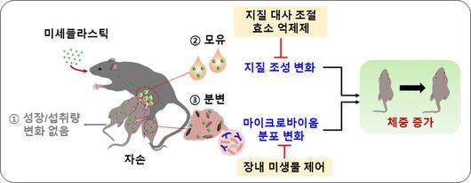 한겨레