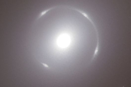 한겨레