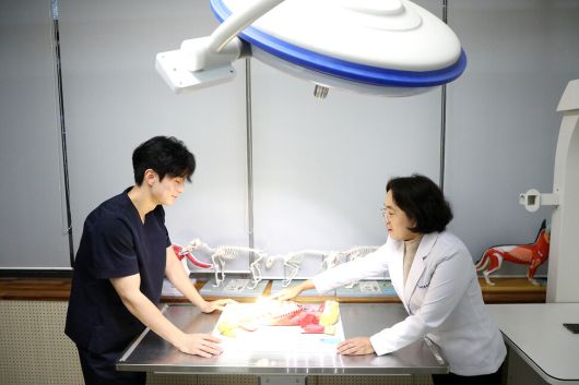 윤은희 학과장과 학생이 고양이 해부구조 실습을 하고 있다. 영남이공대 제공