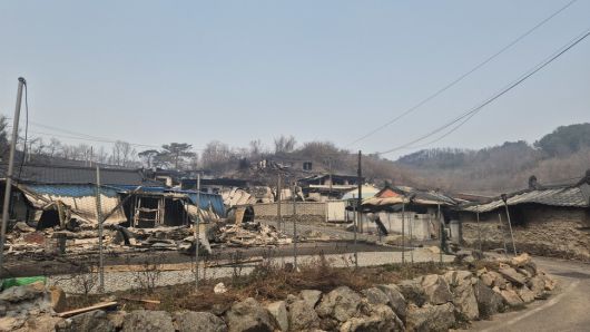 26일 경북 영덕군 영덕읍 매정1리가 산불로 폐허가 됐다. 주성미 기자
