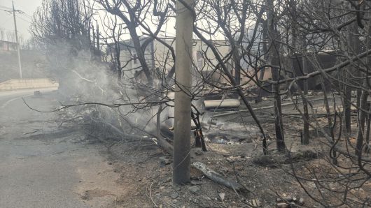 26일 경북 영덕군 영덕읍의 한 도로가에 불씨가 남아 타고 있다. 주성미 기자