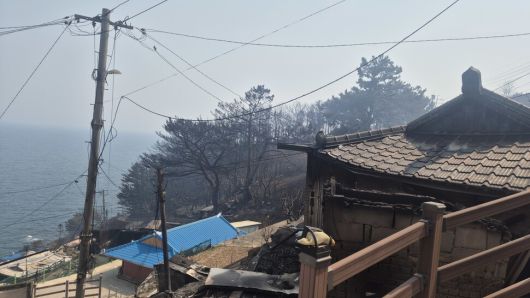 26일 ‘따개비마을’로 부르는 경북 영덕군 영덕읍 석리가 불에 탄 모습. 주성미 기자