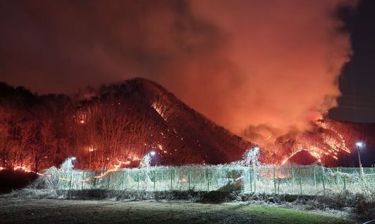 25일 울산 울주군 온양읍 운화리에서 발생한 산불이 민가 근처까지 확산하고 있다. 연합뉴스
