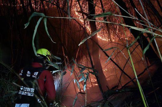 산림청 공중진화대원이 28일 밤 지리산국립공원에 번진 불길을 끄고 있다. 산림청 제공