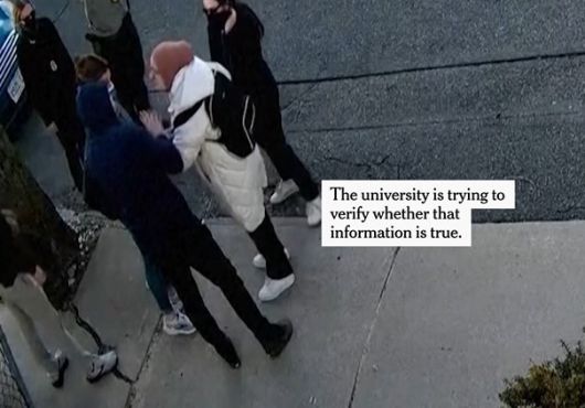 매사추세츠주의 터프스대 대학원에서 박사 과정을 밟고 있는 루메이사 오즈투르크가 지난달 25일 소머빌 거리에서 검은 마스크와 복장을 한 미 이민세관단속국 추정 직원들에게 체포되는 과정을 찍은 영상. 뉴욕타임스 홈페이지 갈무리