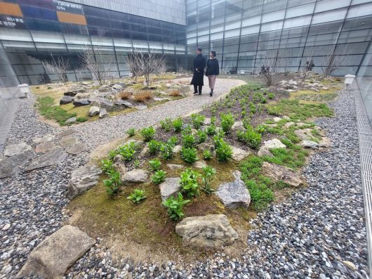 정영선 조경가가 지난해 국립현대미술관 서울관 개인전을 열면서 미술관 건물 내부 중정에 조성한 ‘전시마당 정원’의 모습. 노형석 기자
