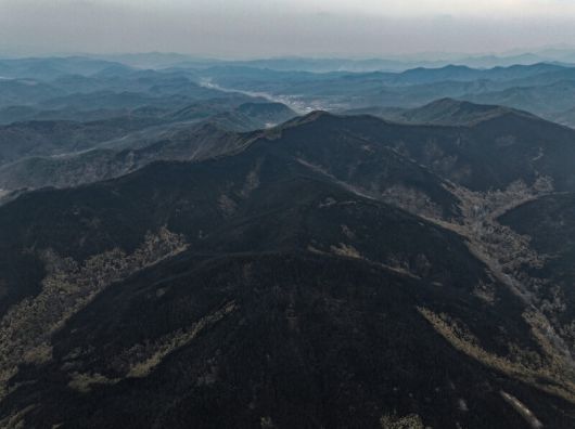 지난 3월 28일 경북 의성군 산림이 일주일간 지속된 산불로 폐허가 됐다. 연합뉴스