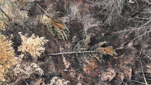 지난 14일 오전 경북 안동시 임하면 약산홍은사 인근 산림 지대 지반이 산불 피해로 약해져 나무들이 쓰러져있다. 김혜윤 기자 unique@hani.co.kr
