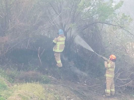 산림당국이 인제에서 발생한 산불을 진화하고 있다. 강원도소방본부 제공