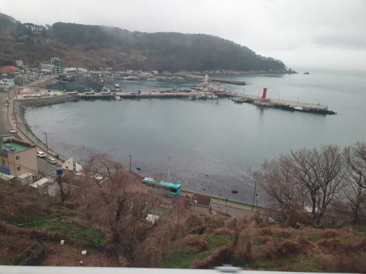 가덕도신공항 건설 예정지인 가덕도 대항 일대 모습. 최종훈 기자