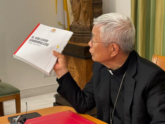 교황청은 콘클라베 기간 추기경 선거인단이 참고할 수 있도록 전체 추기경의 사진과 약력 등이 담긴 책자를 제공했다. 9일(현지시각) 바티칸 성직자부 청사에서 한국 취재진과 만난 유흥식 추기경이 이 책자를 들고 그 의미를 설명해 주는 모습. 사진 장예지 특파원