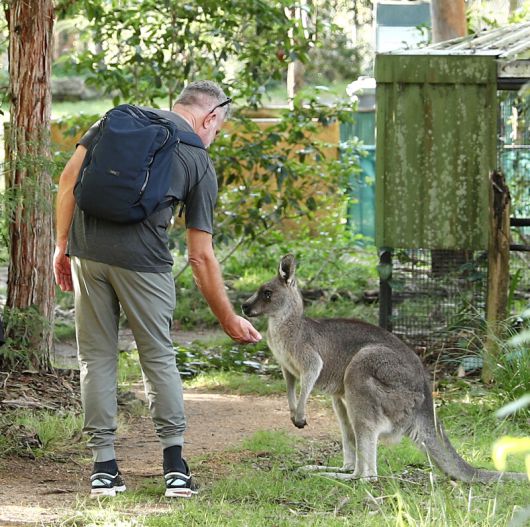 야생동물공원 ‘포토루 팰리스’에선 캥거루와 교감하는 게 가능하다. 박미향 기자