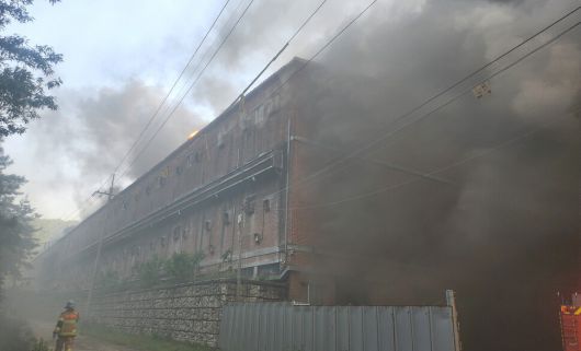 지난 19일 오후 경남 합천군 3층짜리 돼지농장에서 불이 나서 실습 중이던 대학생 1명이 목숨을 잃고, 돼지 1만3천여마리가 죽었다. 경남소방본부 제공