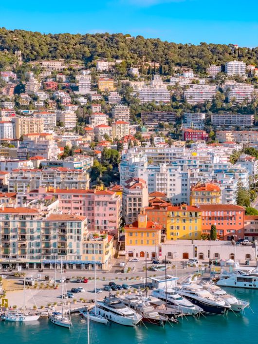 색감을 잘 살려 찍은 사진. 김성주 제공