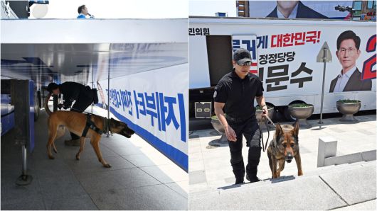후보들에 대한 경호조치 강화로 각 후보들의 유세차 인근에서 군견들이 폭발물 탐지활동을 하고 있다.