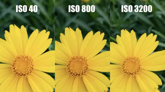 아이에스오(ISO) 감도 값에 따라 다르게 표현되는 사진. 김성주 제공