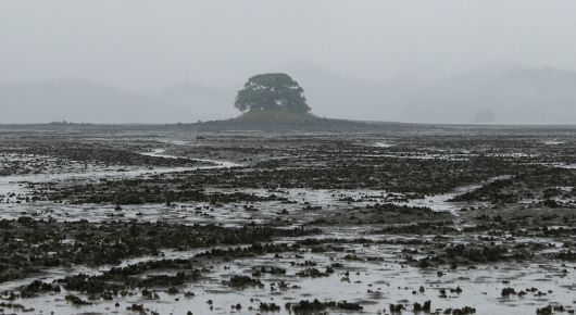 우도 갯벌은 온통 흑백이다. 박미향 기자