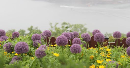 쑥섬 ‘해상공원’ 풍경. 박미향 기자