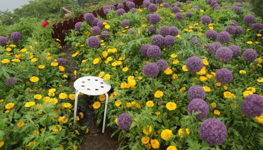 활짝 갠 맑은 날 쑥섬 ‘해상정원’에선 푸른 바다가 보인다. 흐린 날 바다는 탁한 회색이지만, 색다른 흥취를 전한다. 박미향 기자