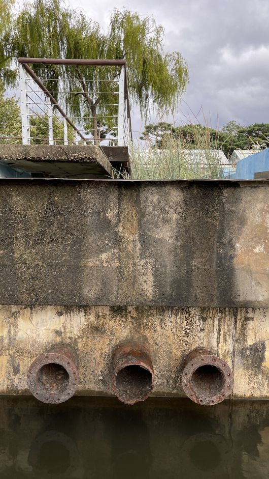 허물어진 정수장 콘크리트 벽의 생살과 지워지지 않는 물 얼룩 위에 녹색 생명체가 동거한다. 선유도공원. 배정한 제공