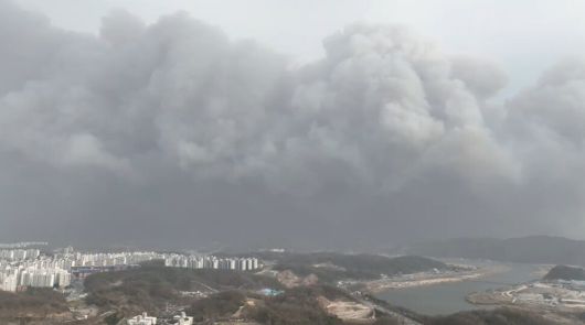 산불 연기가 안동 시내까지 퍼진 모습. 한국은 아파트 등 인구 밀집 지역이 많은 만큼 도심형 산불에 대한 경각심이 필요하다는 지적이 나온다. 사진 기후위기기록단