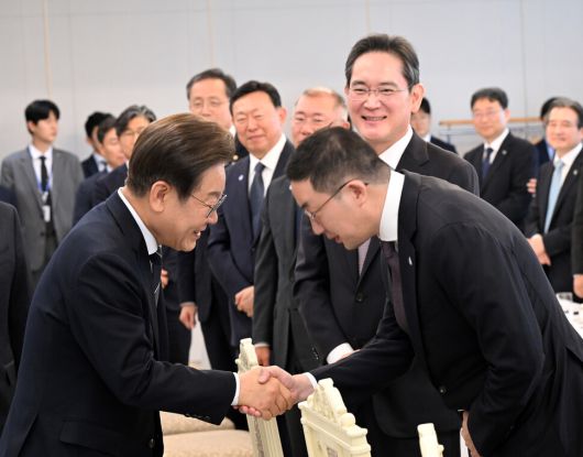 이재명 대통령이 13일 서울 용산 대통령실 청사에서 열린 ‘경제단체와 기업인 간담회’에서 구광모 엘지(LG)그룹 회장 인사를 나누고 있다. 대통령실사진기자단