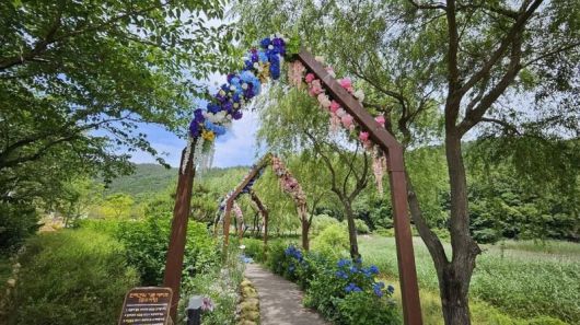 ‘2025 강진 수국길 축제’에서 펼쳐질 수국 여행 풍경. 한국관광공사 제공