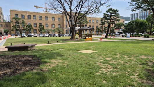 충북도가 정원에 있던 나무 등을 제거·이식한 뒤 조성한 본관 앞 잔디광장. 오윤주 기자