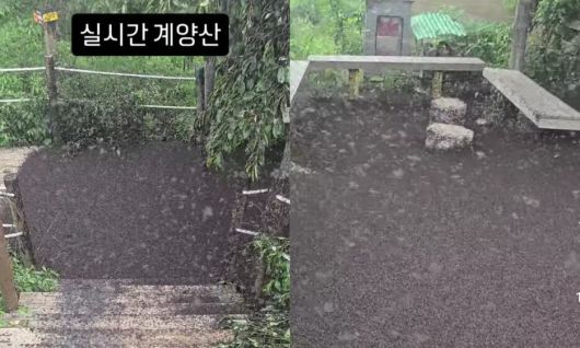 인스타그램 갈무리(@kimlark34)