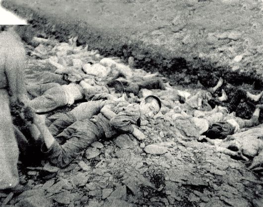 1950년 7월 대전 산내면 골령골 학살현장에서 군경에 살해당하기 직전 한 민간인이 살려달라는 눈빛을 보내고 있다. 미 국립문서기록관리청