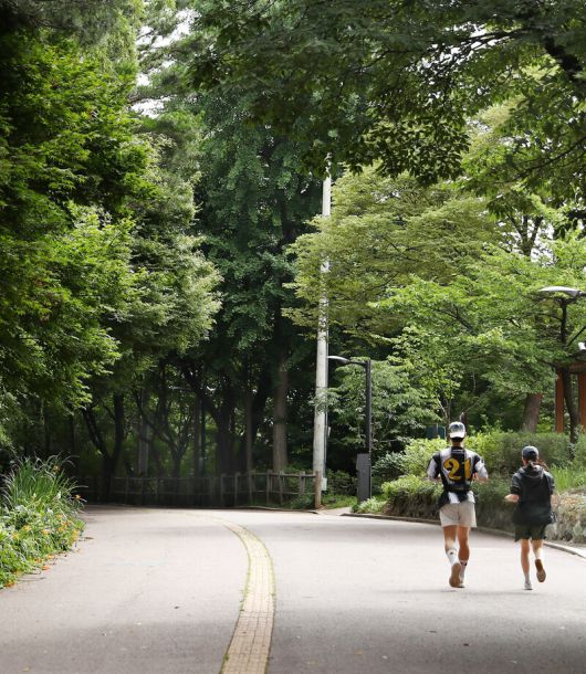 폭염이 쏟아져도 끄떡없는 곳이 숲이다. 하늘을 가리다시피 한 나뭇가지와 잎들이 더위를 막아준다. 남산둘레길도 마찬가지. 이른 아침에 달리기에 나선 이들이 한둘이 아니다. 박미향 기자