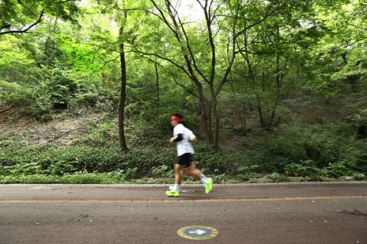 폭염이 쏟아져도 끄떡없는 곳이 숲이다. 하늘을 가리다시피 한 나뭇가지와 잎들이 더위를 막아준다. 남산둘레길도 마찬가지. 이른 아침에 달리기에 나선 이들이 한둘이 아니다. 박미향 기자