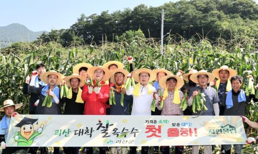 송인헌(앞줄 오른쪽 넷째) 충북 괴산군수 등이 9일 괴산군 장연면에서 대학찰옥수수 본격 출하를 축하하고 있다. 괴산군 제공