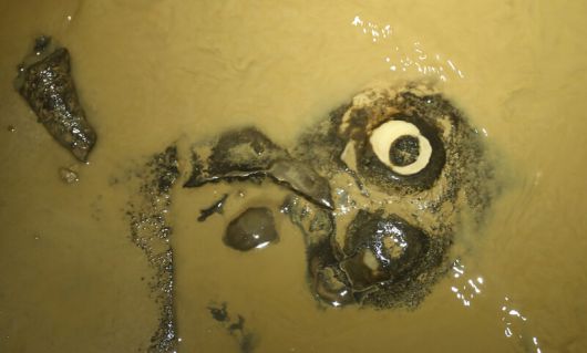 국내 지질 전문가도 ‘최고’라고 칭송하는 백룡동굴에는 희한한 모양의 동굴 생성물이 많다. 박미향 기자