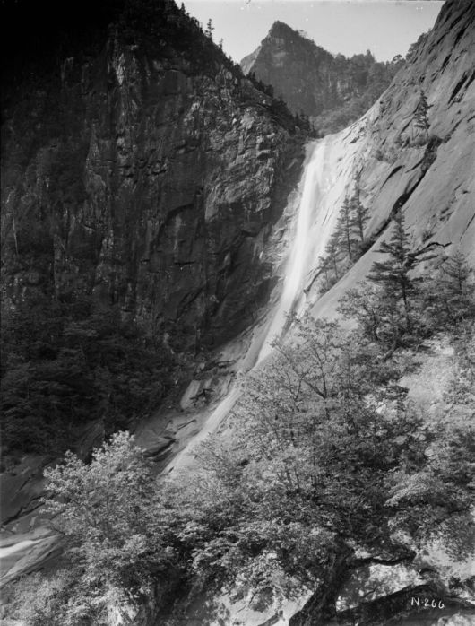 금강산 구룡폭포. 어니스트 헨리 윌슨/국립수목원 제공