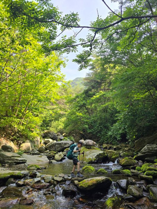 가리왕산 장구목이 코스로 등반하는 아이. 박준형 제공
