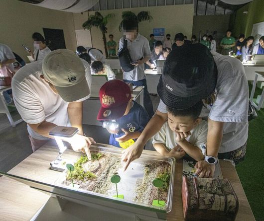 도시에서 보기 힘든 반딧불이를 가까이서 만날 수 있는 \'한여름 밤의 반딧불이 체험\' 프로그램. 에버랜드 제공