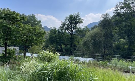 습한 공기와 무더운 바람에 ‘조각보 정원’ 풀꽃들의 키가 훌쩍 자랐다. 배정한 제공