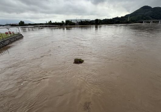 지난달 폭우가 쏟아진 섬진강에 부유물이 떠다니고 있다. 전남환경운동연합 제공